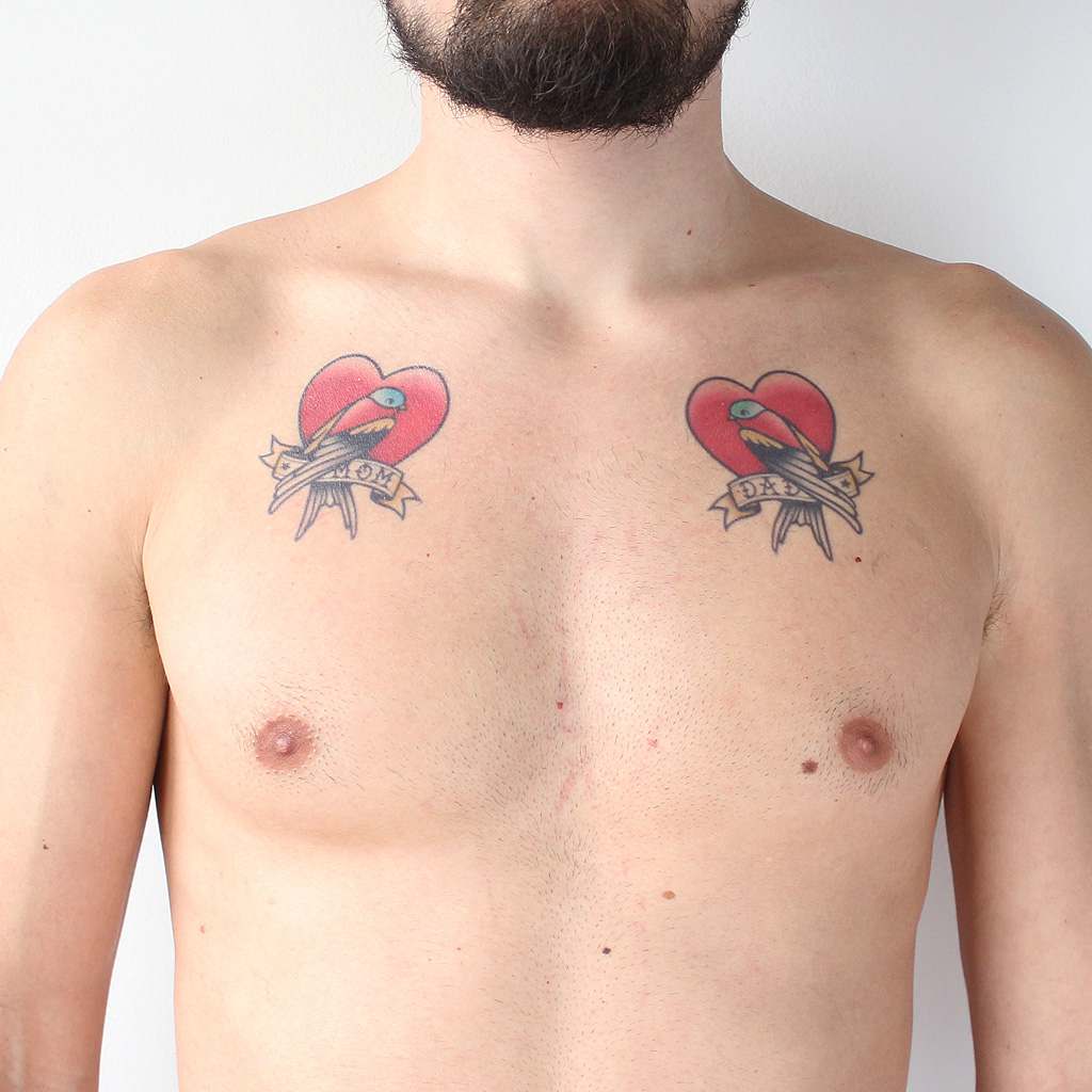 realistic swallows temporary tattoo
